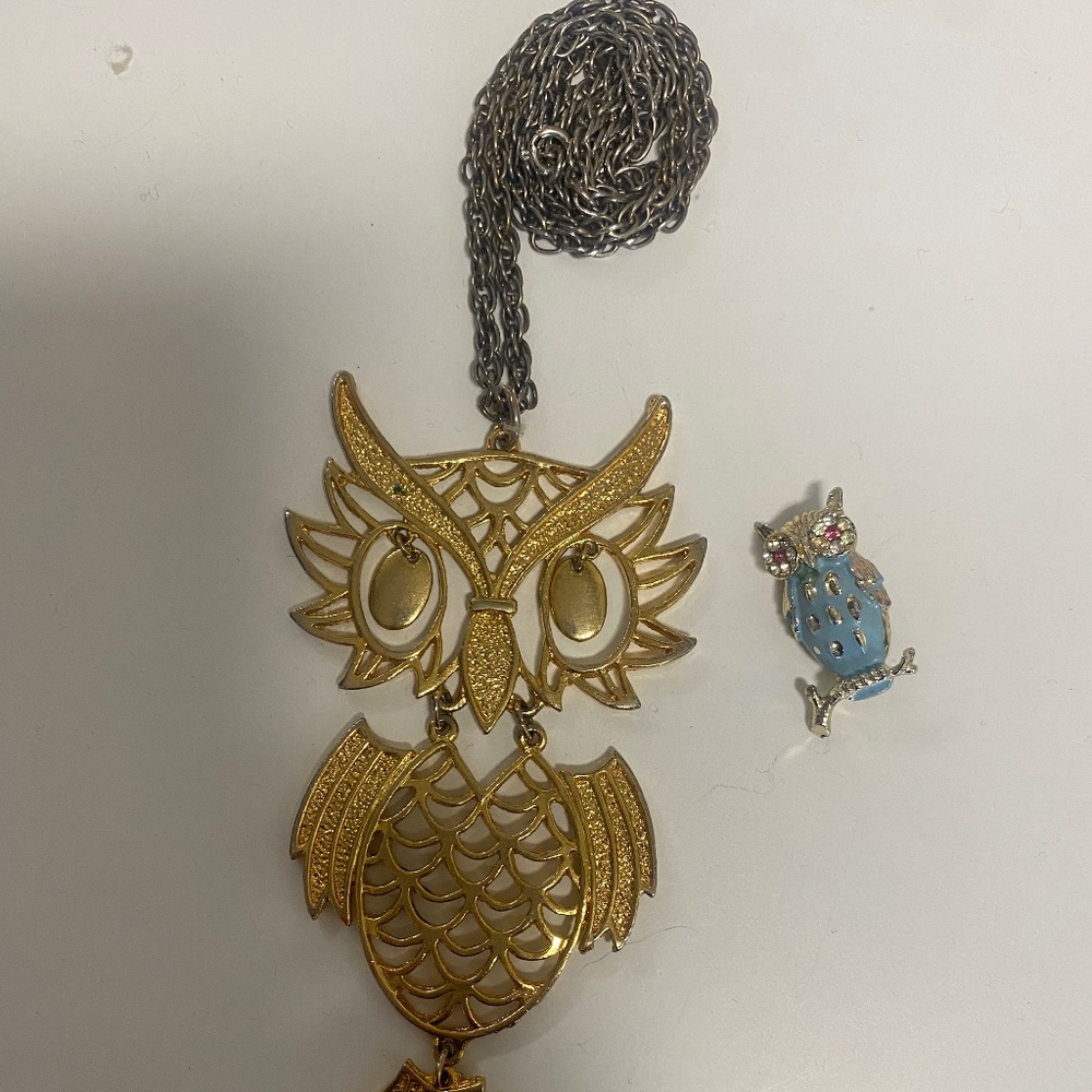 Vintage Owl necklace and pin